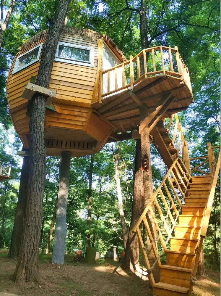 福地湖景区内有一片树林,原是用作搭建帐篷的营地,共有木屋5间,树屋4