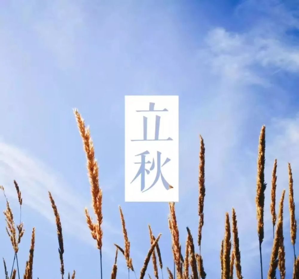 夏天再见,秋天你好!
