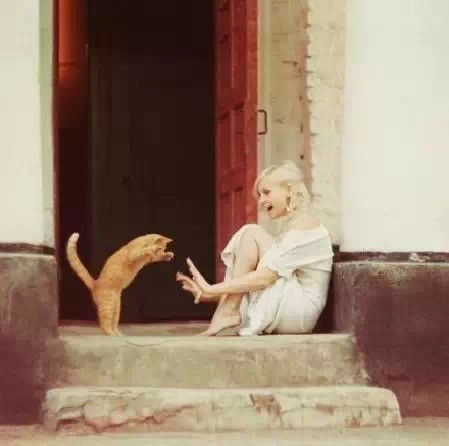 男人为什么<em>就爱</em>猫一样的<em>女人</em>?_订阅_腾讯网