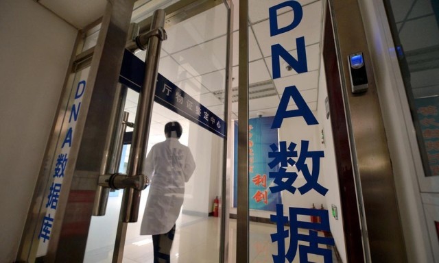 一图丨DNA数据库 怎么帮失踪孩子回家?