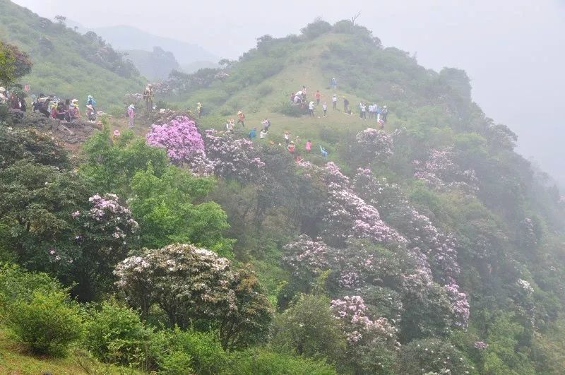 英德天门沟大草原