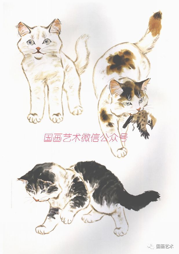 小写意画猫参考:百猫百态