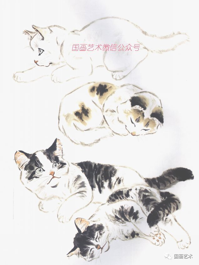 小写意画猫参考:百猫百态