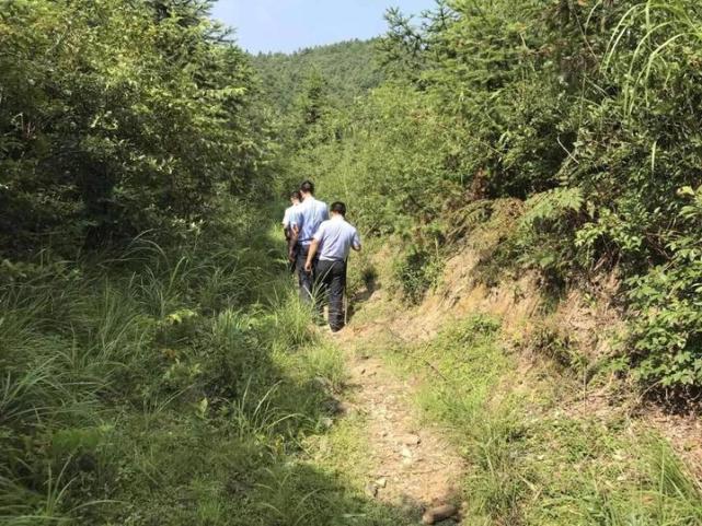 山中走失32小时 干部群众通力搜救出82岁老人