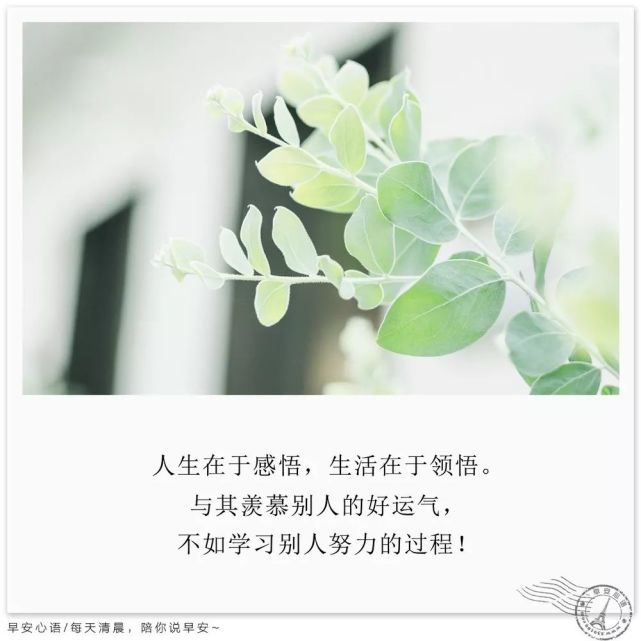 早安心语励志正能量 早安心语阳光正能量