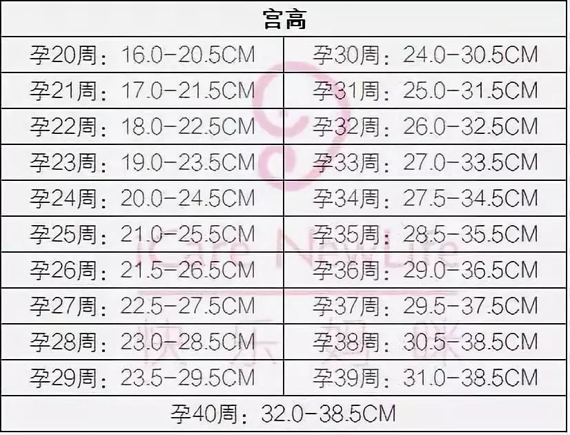 关心的合同都在这里,各项v合同对比表,缩减必室内设计问题怀孕图片