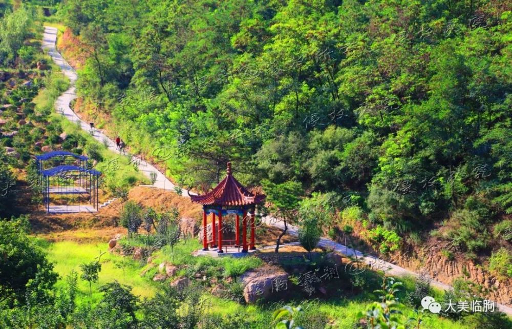 松泉山庄专注于研究绿色放心食材,自己在山上养的走地鸡,黑山羊,笨鹅
