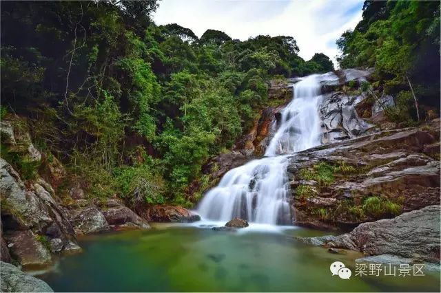 周末两天去哪玩和家人一起畅游避暑胜地武平梁野山吧