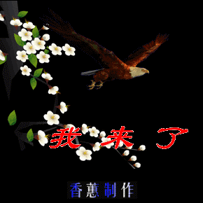 晚上好,微信朋友圈暖心的晚安问候祝福语 晚上好问候表情动态图