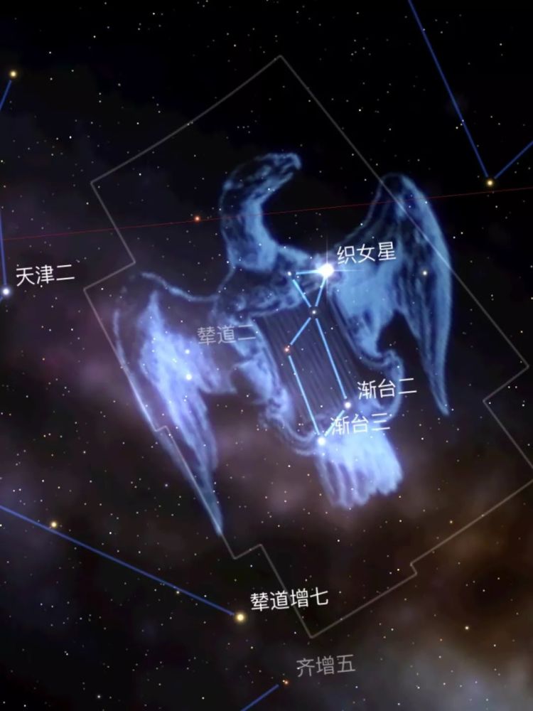 这里不仅有牛郎织女星观测攻略,还手把手教你说星空情话!