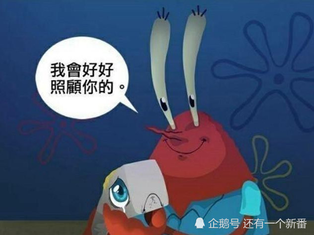 《海绵宝宝》为什么蟹老板的女儿珍珍是鲸鱼?事实超感人