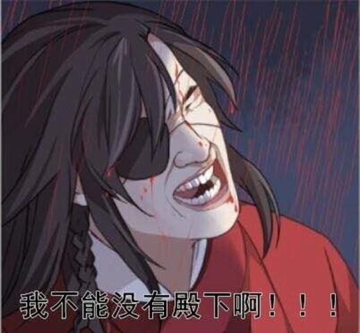 天官赐福中最搞笑的表情包,戚容日常挨揍,又开始欺负花城字丑了