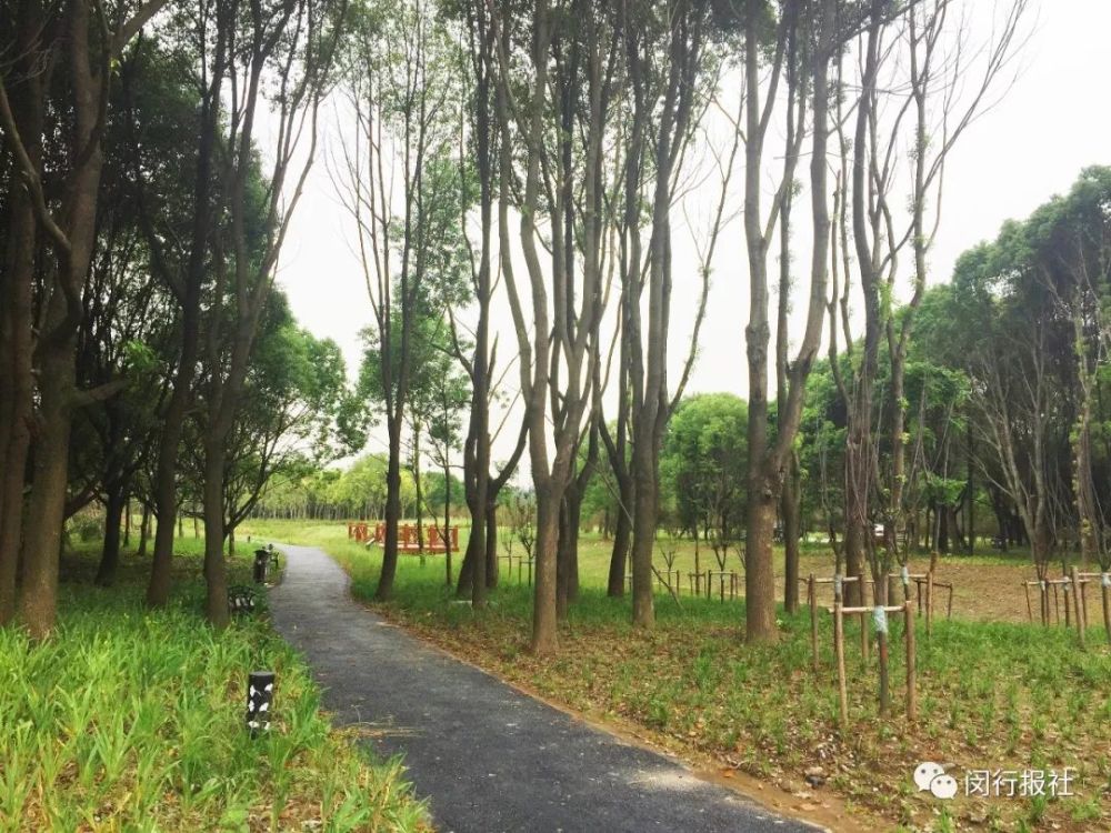 城市森林 坐标:浦锦街道最南端,丰收路,沈杜公路一带 在郊野公园滨江