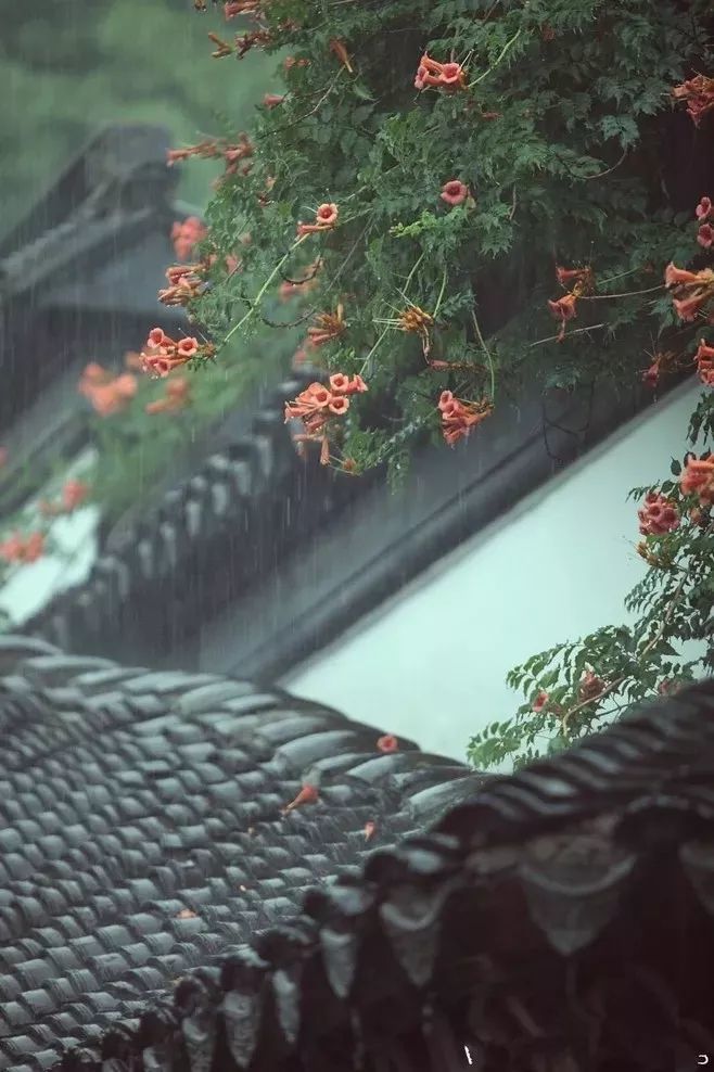 十首听雨诗词雨声淅淅你在思念谁