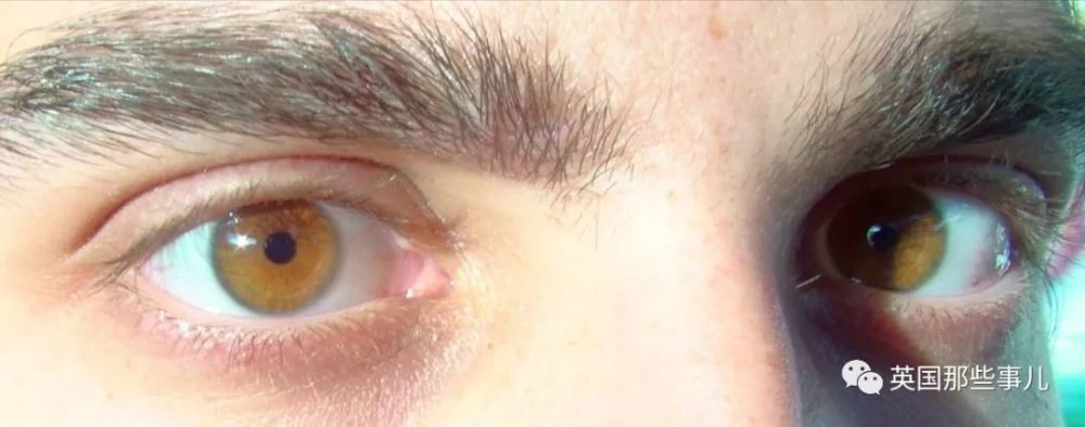 红粉银灰鸳鸯猫眼紫罗兰…人类的眼睛,居然有10种颜色