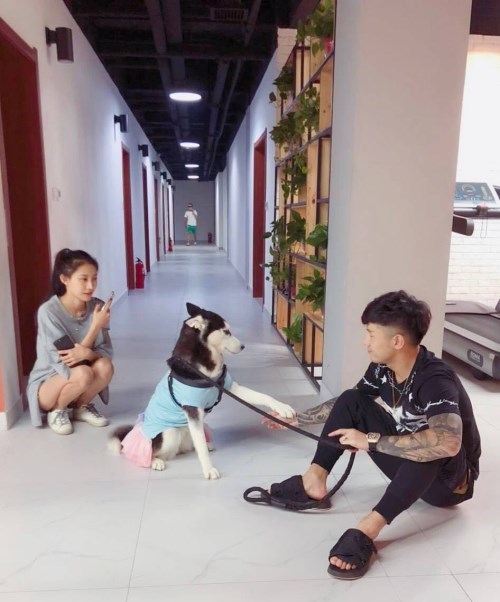 快手战神洋再现直播间,被黑粉小仙女偷拍