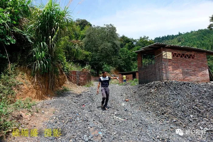 福建永定大坑家庭农场严炯林:在废弃矿山上建功立业