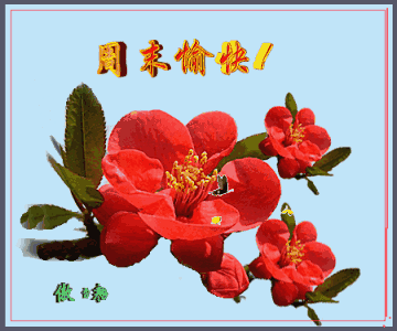 周末温馨问候祝福语,最新周末愉快动态祝福图片