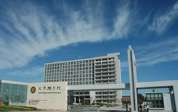 天津城建大学