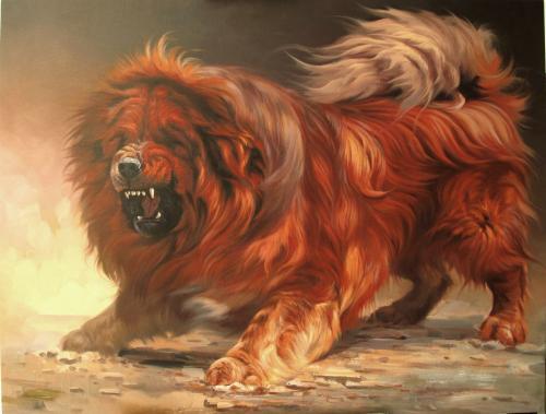 藏獒,中华神犬,雪域高原的霸主,是世界上最凶猛的狗狗,有人一直拿它