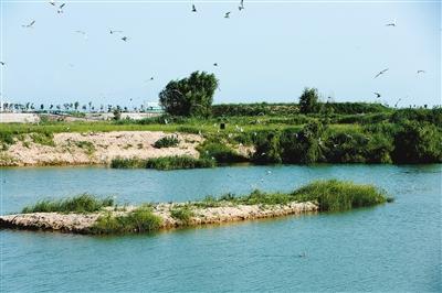 中国首家车游湿地公园灞渭桥车游湿地19日开园