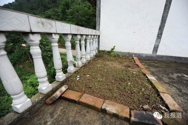 反思|留守<em>兄妹</em>喝农药死亡,归结于心理<em>问题</em>并不