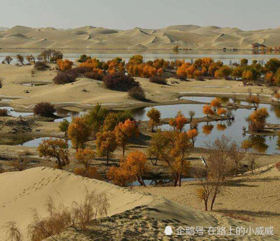 中国为把沙漠变绿洲,建设逆天工程治理沙漠,却
