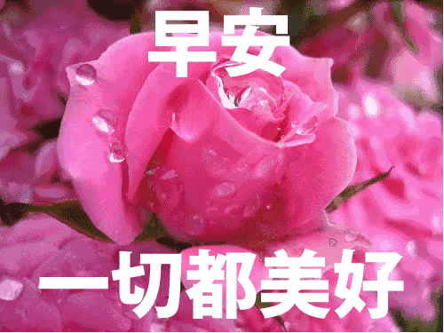 好温馨的早晨问候祝福语 好美早晨问安动态表情图
