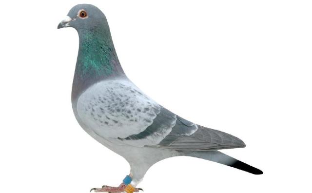 640