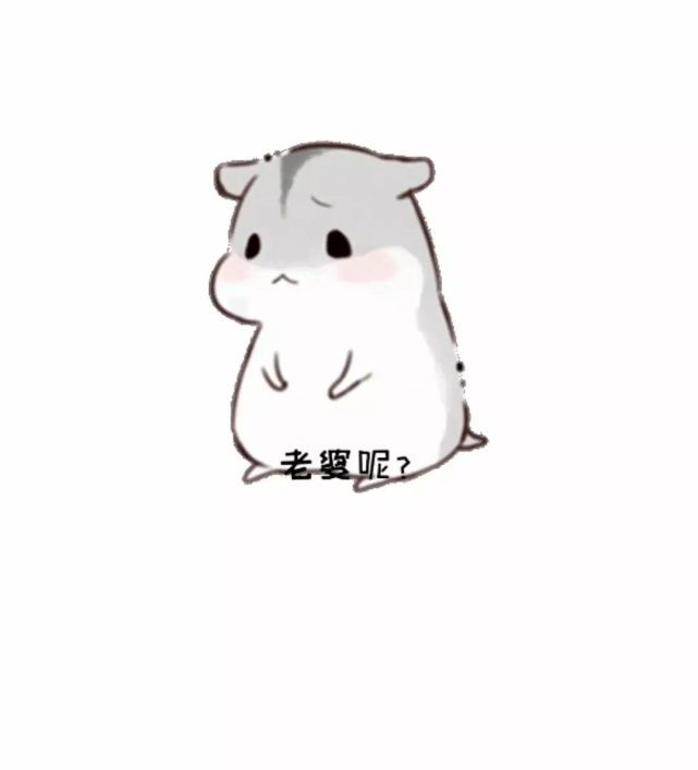 最火表情包 | 老婆(老公)我想你了!