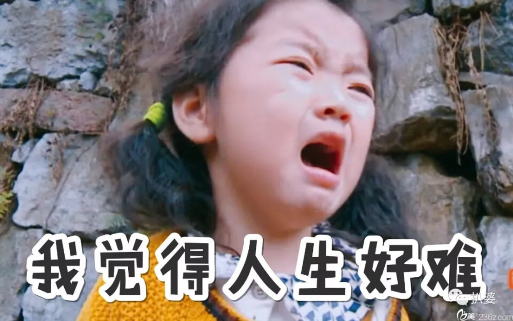 《延禧攻略》里的老嬷嬷们，曾经也都是古装大美人啊