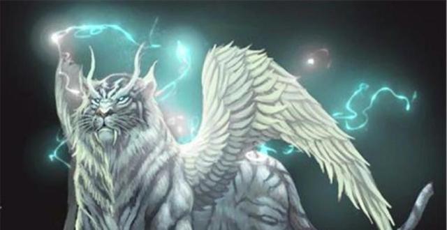 神兽排名_十二星座守护神兽排名