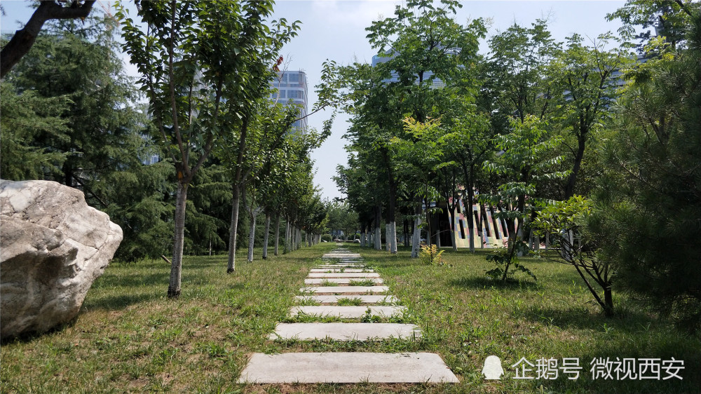 西安南郊有一座免费的运动公园,篮球场,足球场等全部