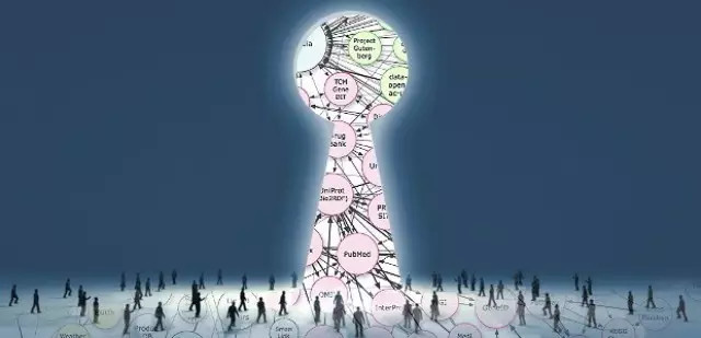 政府数据开放的经济学分析 晚起的鸟儿须快飞