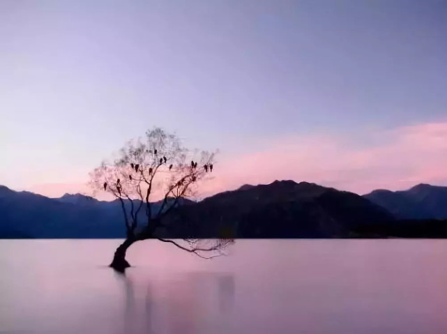 早读:坦然释怀,浅笑而安