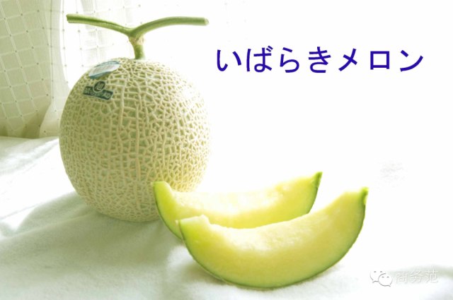 看了霓虹人民的天价水果,我打算去日本做瓜农