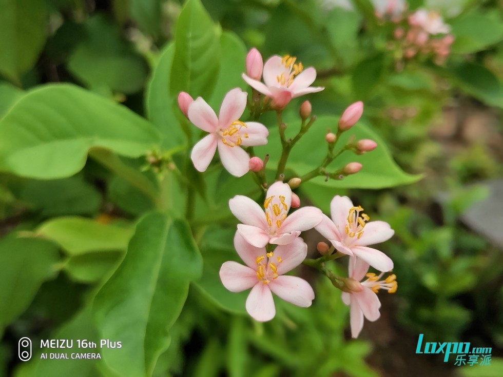 魅族16th Plus体验评测:魅族的摩登style