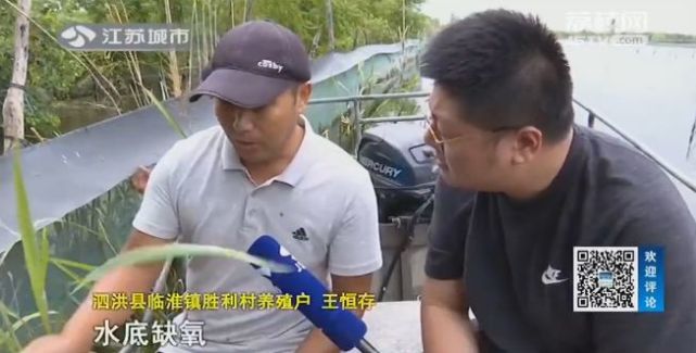 洪泽湖万亩鱼蟹死绝水面变黑 环保部门禁止饮用湖水