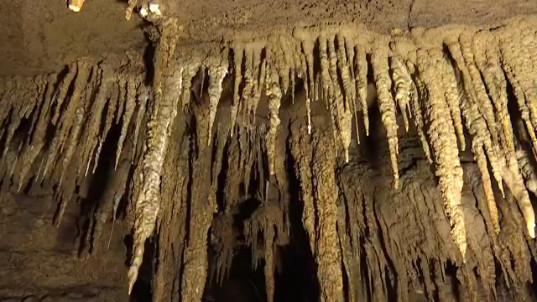 ç”·å­æ‰“åœ°åŸºæ—¶å‘çŽ°ç¥žç§˜æº¶æ´žå’Œä¸æ˜Žç”Ÿç‰©éª¨éª¸