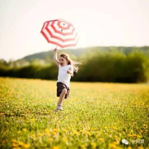 在新西兰养一个孩子的成本