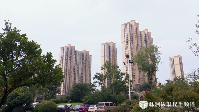 株洲佳兆业小区公共区域业主停车 物业就要收