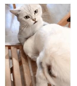 640