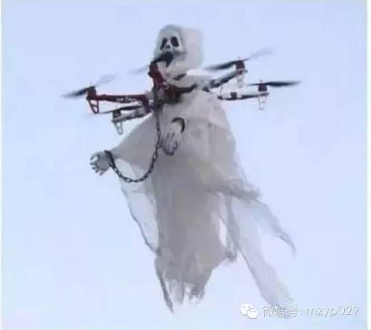 生活段子|如果我是韩国人就好了