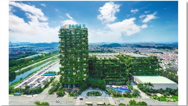 碧桂园凤凰通4.0焕新登场 再创2018里程碑