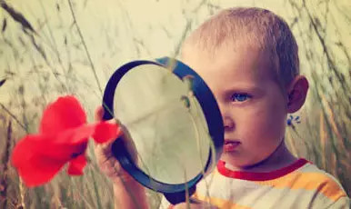 三年级小学生的作文让人冒冷汗!足以警醒天下