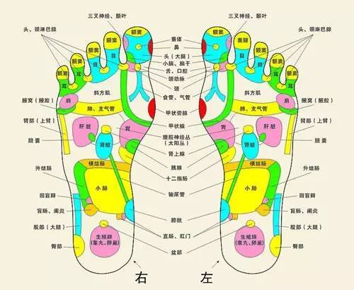 人老脚先衰,常按脚底养全身