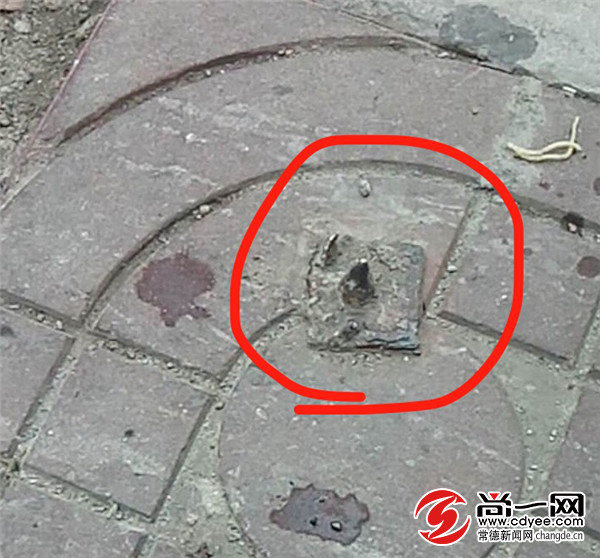 常德一市民遭马路钢钉暗算 市政:尽快拔除