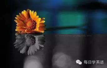 英美人士最讨厌的5个英文单词