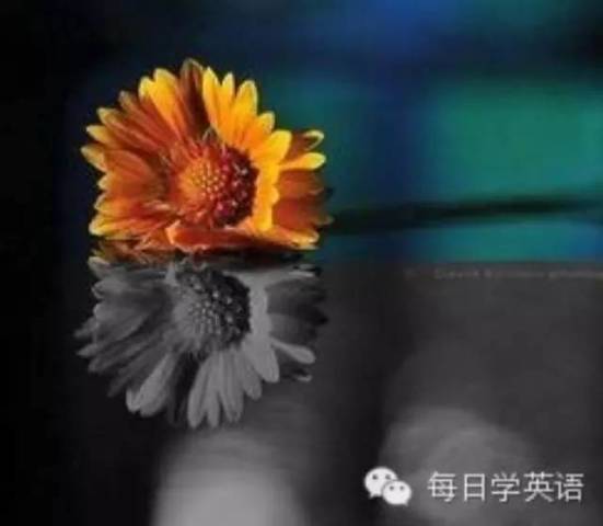 英美人士最讨厌的5个英文单词