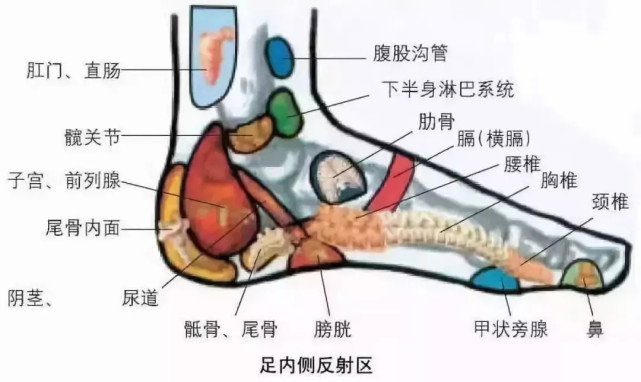 《40个常见病穴位按摩大全》,需要的收好了